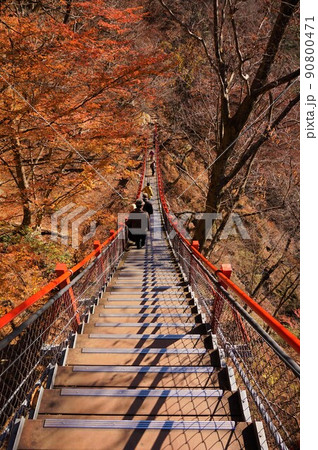 けさかけ橋　小中大滝　紅葉　 90800471