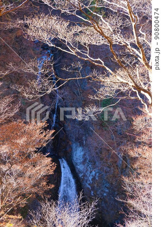 けさかけ橋　小中大滝　紅葉　 90800474