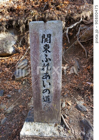 関東ふれあいの道　けさかけ橋　小中大滝　紅葉　 90800475