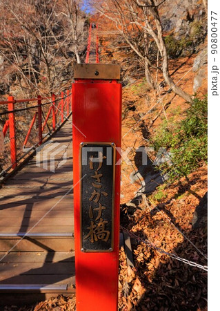 けさかけ橋　小中大滝　紅葉　 90800477