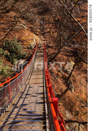 けさかけ橋　小中大滝　紅葉　 90800478