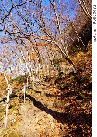 けさかけ橋　小中大滝　紅葉　 90800483