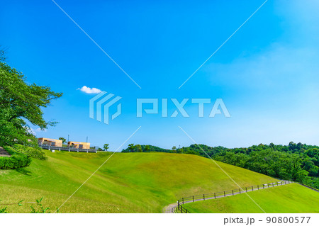 鞍ケ池公園、緑あふれる風景〈愛知県豊田市〉 90800577