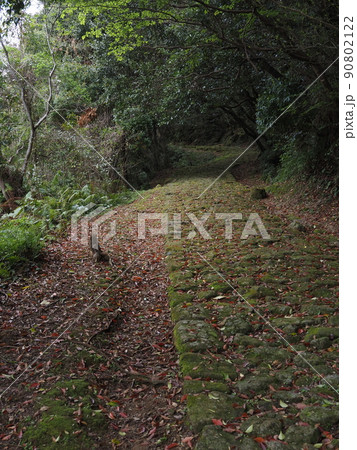 熊野古道高野坂の石畳 熊野古道高野坂の石畳 90802122