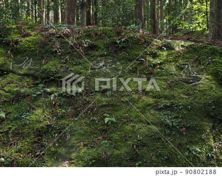 熊野古道大雲取越の円座石に刻まれた梵字 熊野古道大雲取越の円座石に刻まれた梵字 90802188