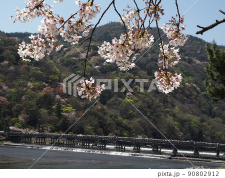 春の嵐山 春の嵐山 90802912