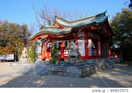 豊中市服部緑地公園近くに鎮座する長興寺住吉神社 本殿 豊中市服部緑地公園近くに鎮座する長興寺住吉神社 本殿 90802975