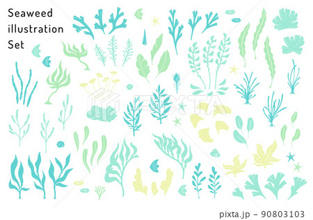 海草と海の生き物のイラストセット 海草と海の生き物のイラストセット 90803103