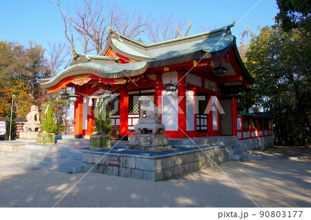 豊中市服部緑地公園近くに鎮座する長興寺住吉神社 本殿 向かって右側より撮影 豊中市服部緑地公園近くに鎮座する長興寺住吉神社 本殿 向かって右側より撮影 90803177