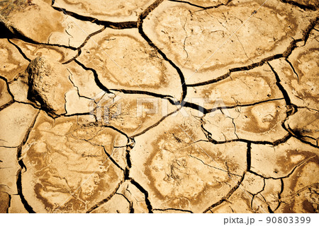 desert ground 90803399