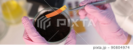 Scientist chemist checking soil acidity using litmus paper in laboratory closeup Scientist chemist checking soil acidity using litmus paper in laboratory closeup 90804974