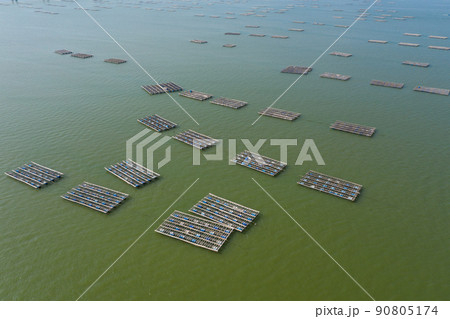 Top view of oyster farm 90805174