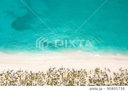 Bounty and pristine sandy shore with coconut palm trees, caribbean sea washes tropical coast. Arenda Gorda beach. Dominican Republic. Aerial top view 90805736