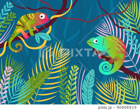 Chameleon forest. Fantasy tropical jungle forest with color lizards, reptile animals on branch vector illustration 90806919