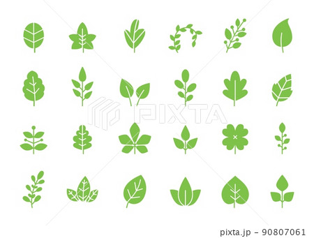 Green leaves icon. Eco leaf, organic growth and sprout vector symbols set 90807061