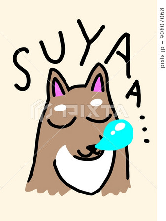 スヤスヤと眠る犬 90807068