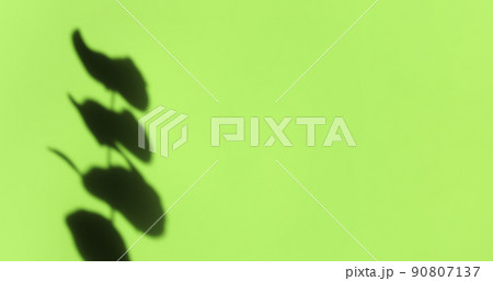 Creative copyspace with shadows on a shiny soft green wall. Top view of leaves shadows on the pink background. Flat lay style. Minimal summer concept with tree leaf Creative copyspace with shadows on a shiny soft green wall. Top view of leaves shadows on the pink background. Flat lay style. Minimal summer concept with tree leaf 90807137