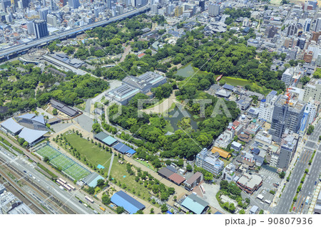 大阪市天王寺区　天王寺公園内の大阪市立美術館 90807936