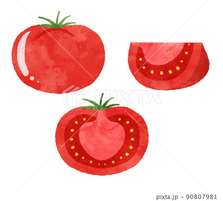 トマトのイラスト 90807981