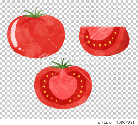 トマトのイラスト 90807981