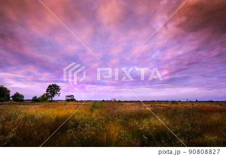 View across a natural resevoire in Germany View across a natural resevoire in Germany 90808827