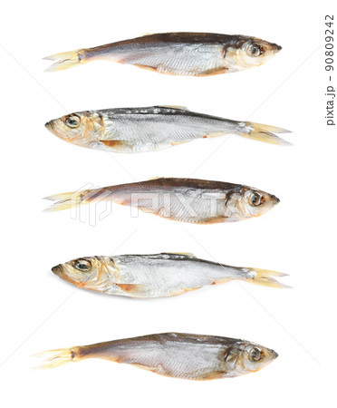 Set of tasty dry fish on white background 90809242