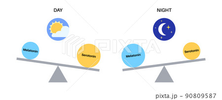 Sleep wake cycle 90809587