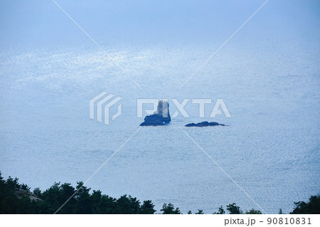 済州島 楸子島 海 90810831