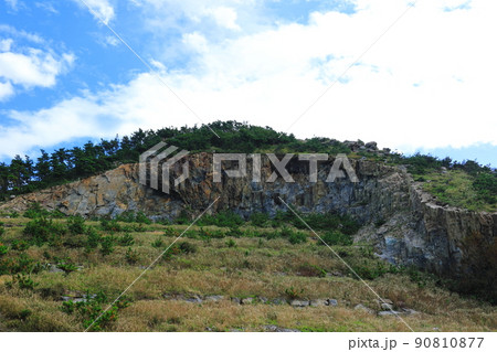 済州島 楸子島 岩 90810877