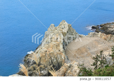 済州島 楸子島 海 90811057