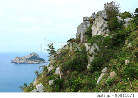 済州島 楸子島 島 90811071