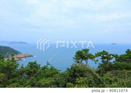 済州島 楸子島 海 90811074