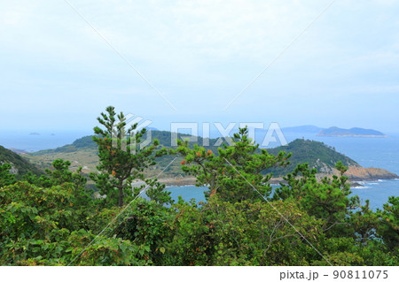 済州島 楸子島 山 90811075