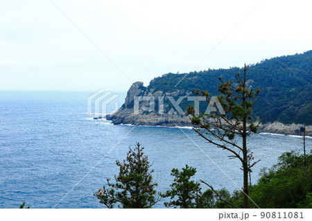 済州島 楸子島 海 90811081