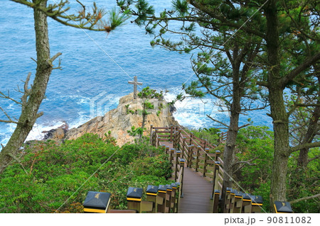 済州島 楸子島 海 90811082