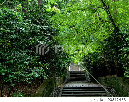 新緑の仏教寺院参道 90812428