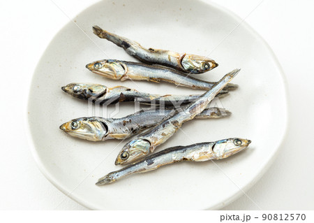 煮干し　白バック 90812570