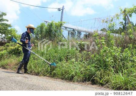 道路沿いの除草作業　草刈りをする若い男性　 90812647
