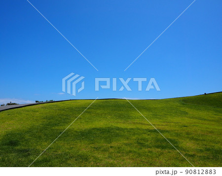 芝生の広場、ピクニックスポット 90812883