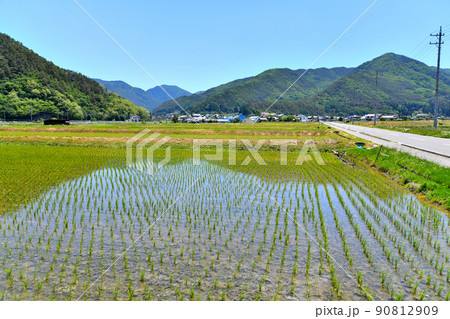 長野県筑北村坂井の風景(長野県筑北村)【2022.6】 90812909