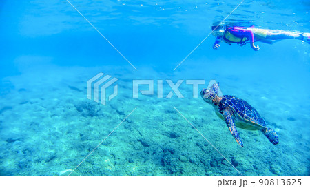 沖縄 渡嘉敷でスノーケルをする女の子とウミガメ 沖縄 渡嘉敷でスノーケルをする女の子とウミガメ 90813625