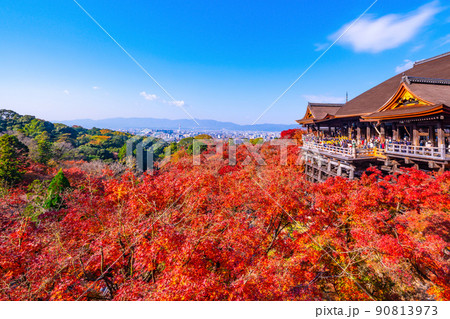 清水寺の舞台と紅葉 清水寺の舞台と紅葉 90813973