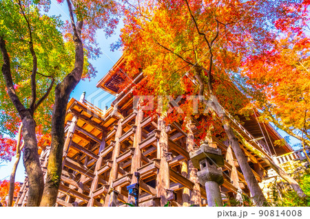 清水寺の舞台と紅葉 90814008