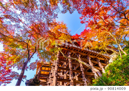 清水寺の舞台と紅葉 90814009