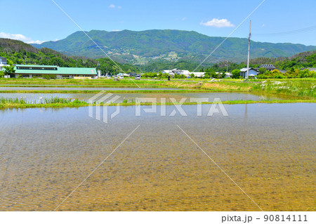 長野県筑北村西条周辺の風景(長野県筑北村)【2022.6】 90814111