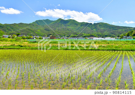 長野県筑北村西条周辺の風景(長野県筑北村)【2022.6】 90814115