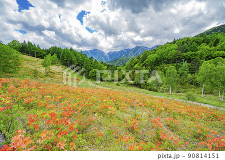 長野県宮田村　宮田高原キャンプ場の景色 90814151
