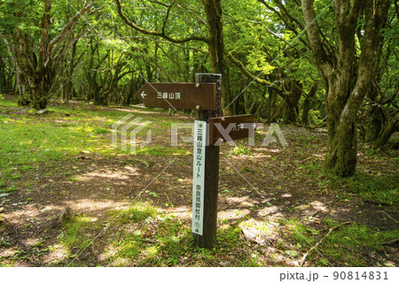 三峰山頂と八丁平の標識矢印 90814831