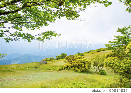 新緑の三峰山の八丁平 新緑の三峰山の八丁平 90814832