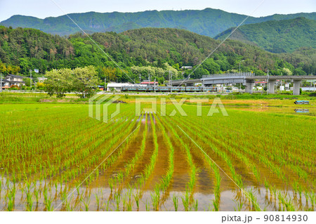 麻績村役場、聖高原駅周辺を望む(長野県麻績村)【2022.6】 麻績村役場、聖高原駅周辺を望む(長野県麻績村)【2022.6】 90814930